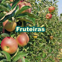 Fruit_Trees_200x200_pt