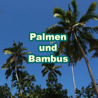 Palms_Bamboos_200x200_de