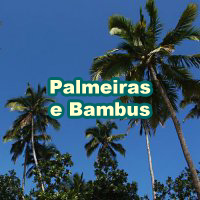 Palms_Bamboos_200x200_pt